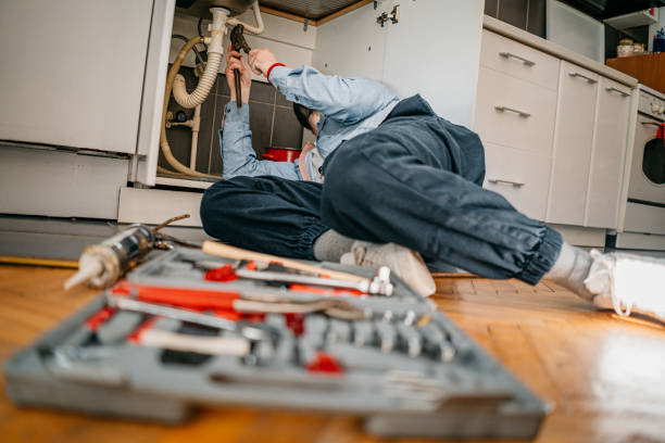 Best Leak Detection Services  in Merian, ID