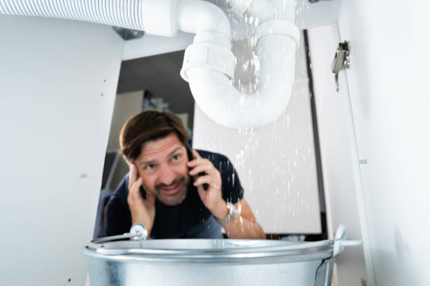 Best Commercial Plumbing Services  in Merian, ID