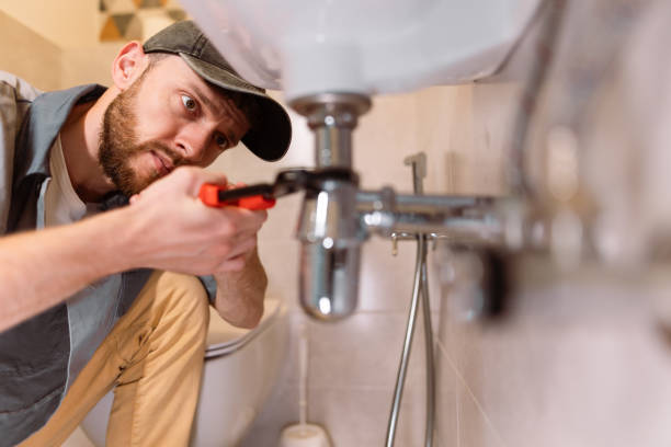 Best Local Plumber Services  in Merian, ID